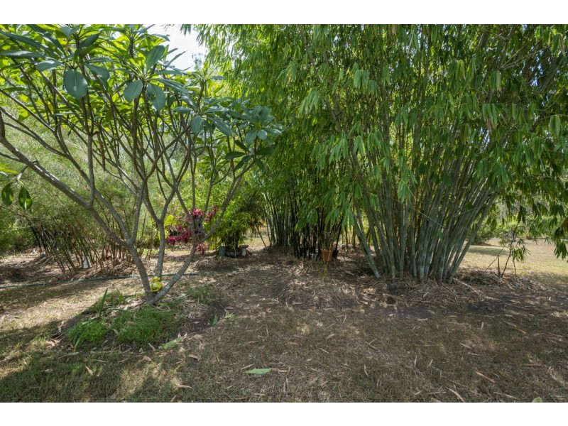 31 Edward Ogilvie Drive, Clarenza NSW 2460