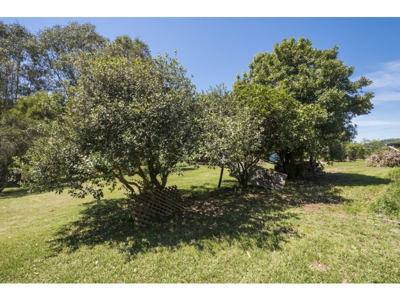 2348 Clarence Way, Upper Copmanhurst NSW 2460