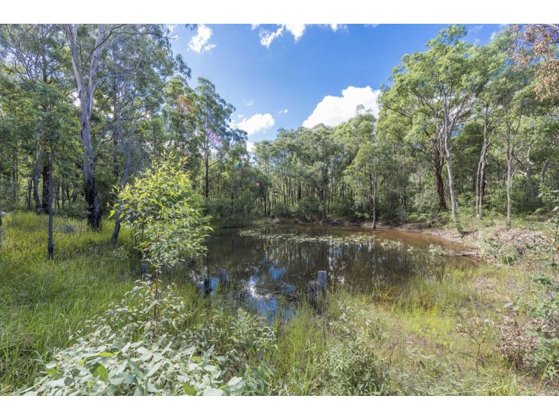 3625 Armidale Road, Nymboida NSW 2460