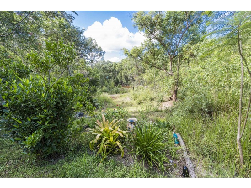 3625 Armidale Road, Nymboida NSW 2460