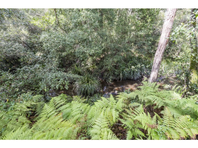 715 Firth Heinz Road, Pillar Valley NSW 2462