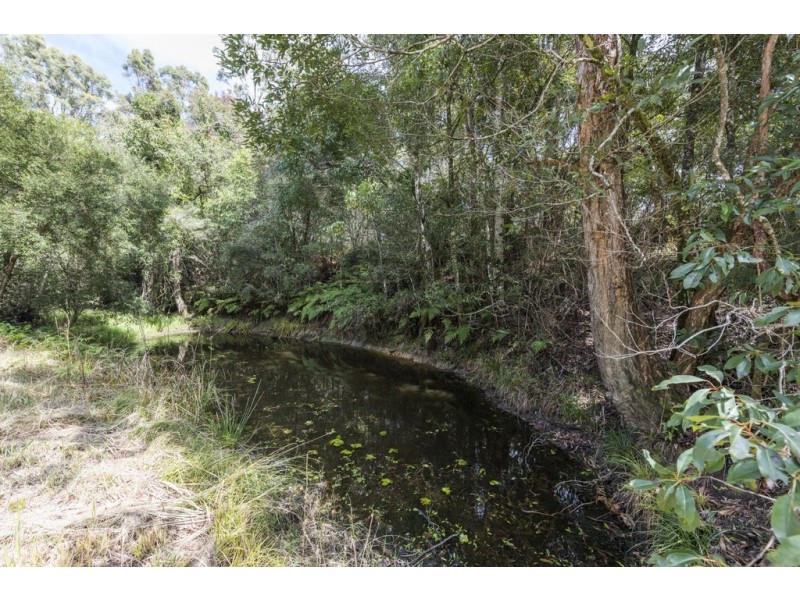 715 Firth Heinz Road, Pillar Valley NSW 2462