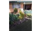 3 Pine Street, Junction Hill NSW 2460