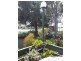 3 Pine Street, Junction Hill NSW 2460