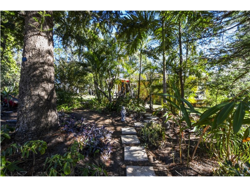 2241 Armidale Road, Blaxlands Creek NSW 2460