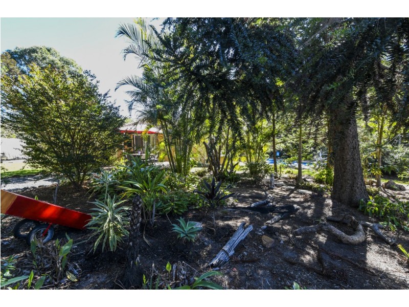 2241 Armidale Road, Blaxlands Creek NSW 2460