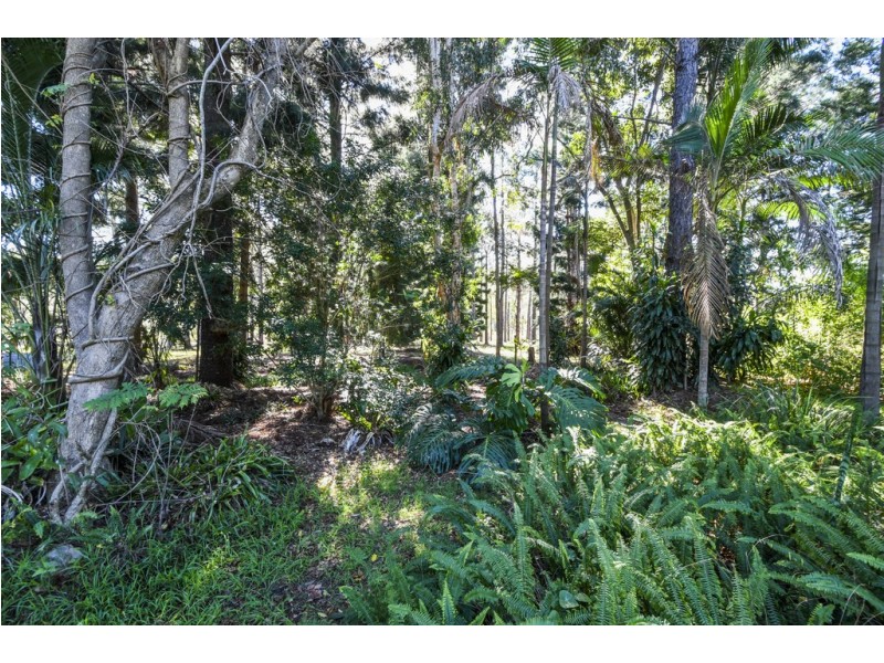 2241 Armidale Road, Blaxlands Creek NSW 2460