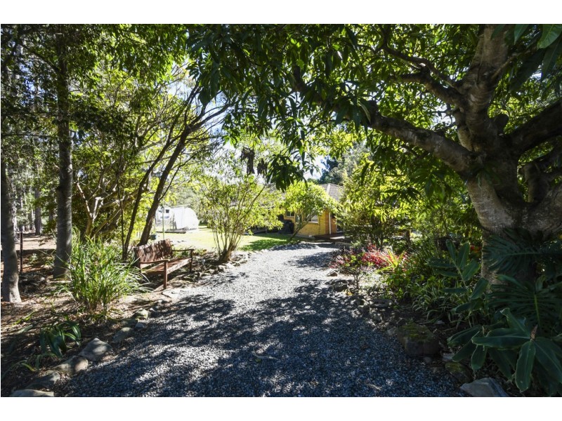 2241 Armidale Road, Blaxlands Creek NSW 2460