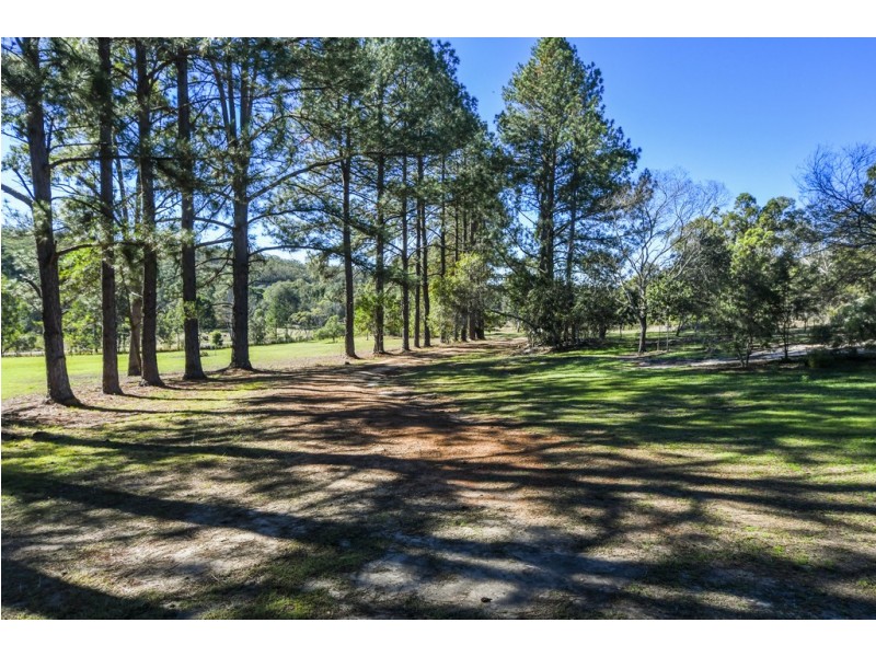 2241 Armidale Road, Blaxlands Creek NSW 2460