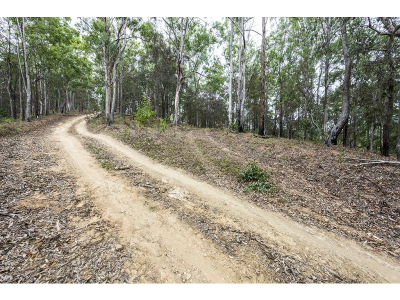 2493 Blacksmith Shop Road, Newton Boyd NSW 2370