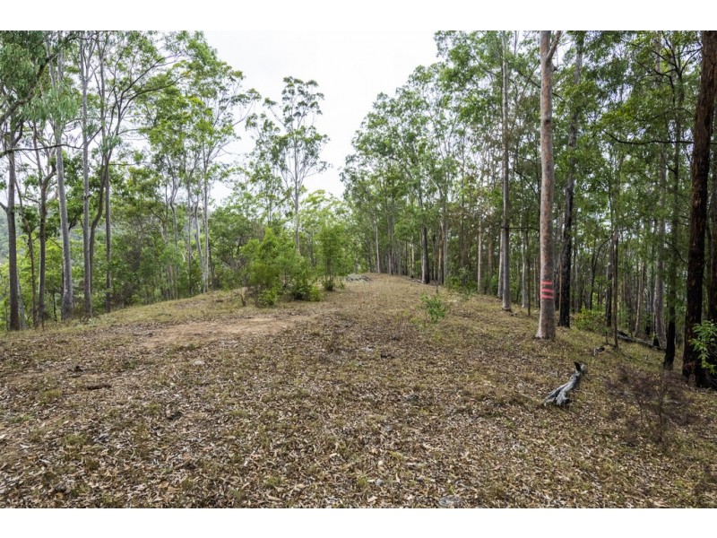 2493 Blacksmith Shop Road, Newton Boyd NSW 2370