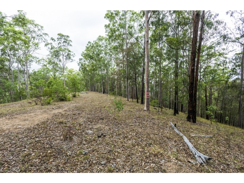 2493 Blacksmith Shop Road, Newton Boyd NSW 2370