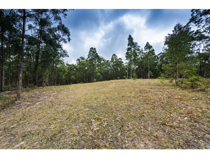 2493 Blacksmith Shop Road, Newton Boyd NSW 2370