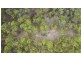 2493 Blacksmith Shop Road, Newton Boyd NSW 2370
