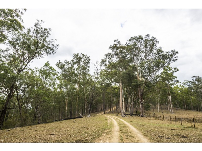 2493 Blacksmith Shop Road, Newton Boyd NSW 2370
