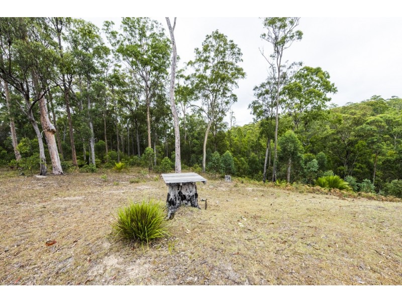 2493 Blacksmith Shop Road, Newton Boyd NSW 2370