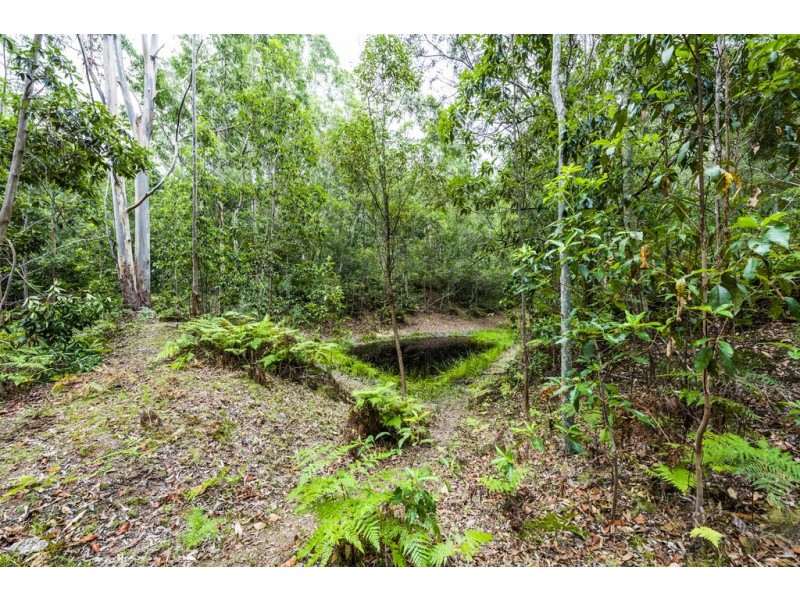 2493 Blacksmith Shop Road, Newton Boyd NSW 2370