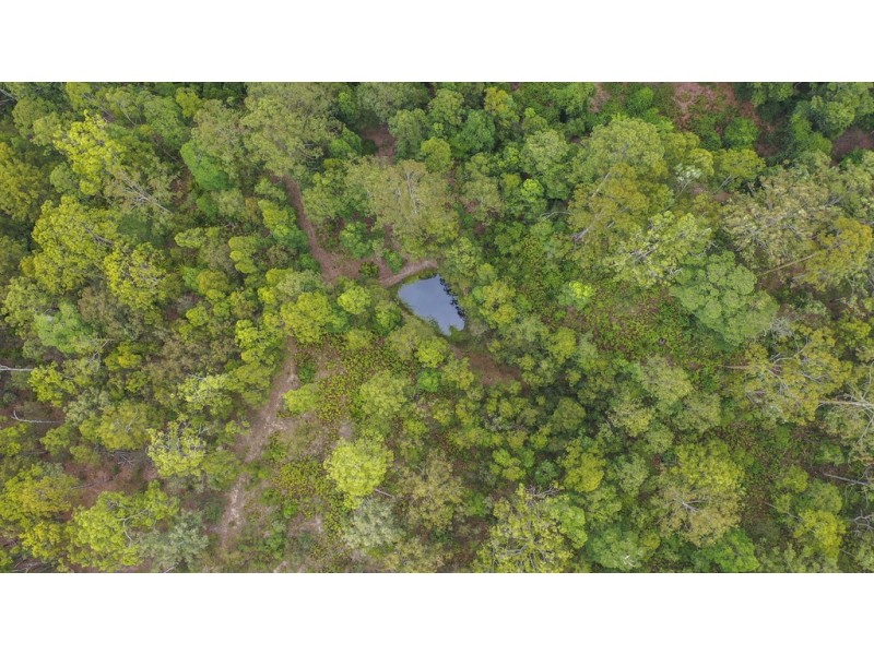 2493 Blacksmith Shop Road, Newton Boyd NSW 2370