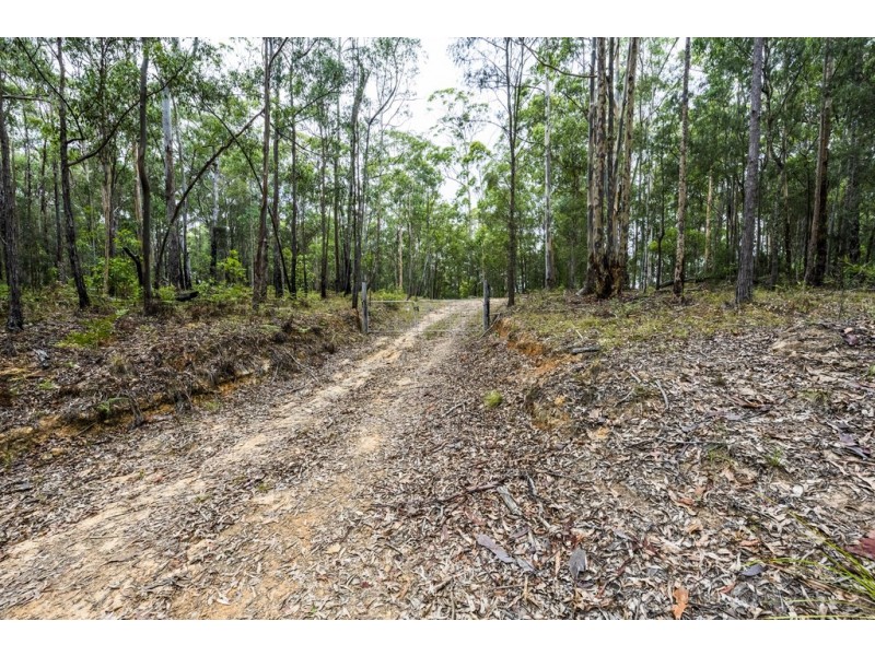 2493 Blacksmith Shop Road, Newton Boyd NSW 2370