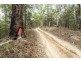 2493 Blacksmith Shop Road, Newton Boyd NSW 2370