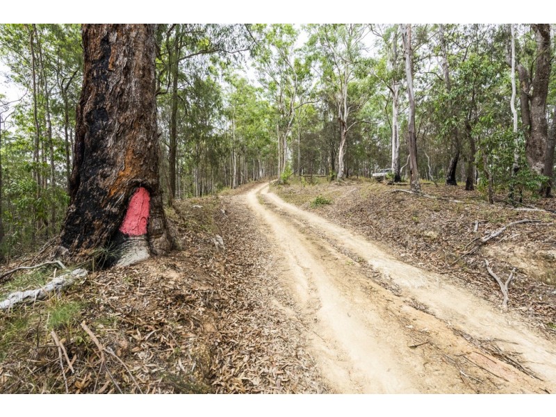 2493 Blacksmith Shop Road, Newton Boyd NSW 2370
