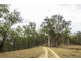 2493 Blacksmith Shop Road, Newton Boyd NSW 2370