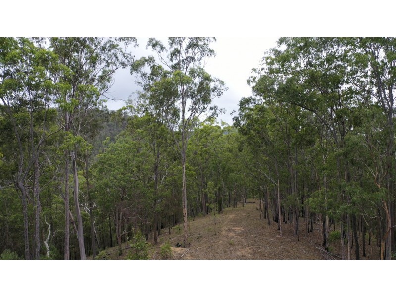 2493 Blacksmith Shop Road, Newton Boyd NSW 2370