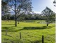 634 Lower Kangaroo Creek Road, Coutts Crossing NSW 2460