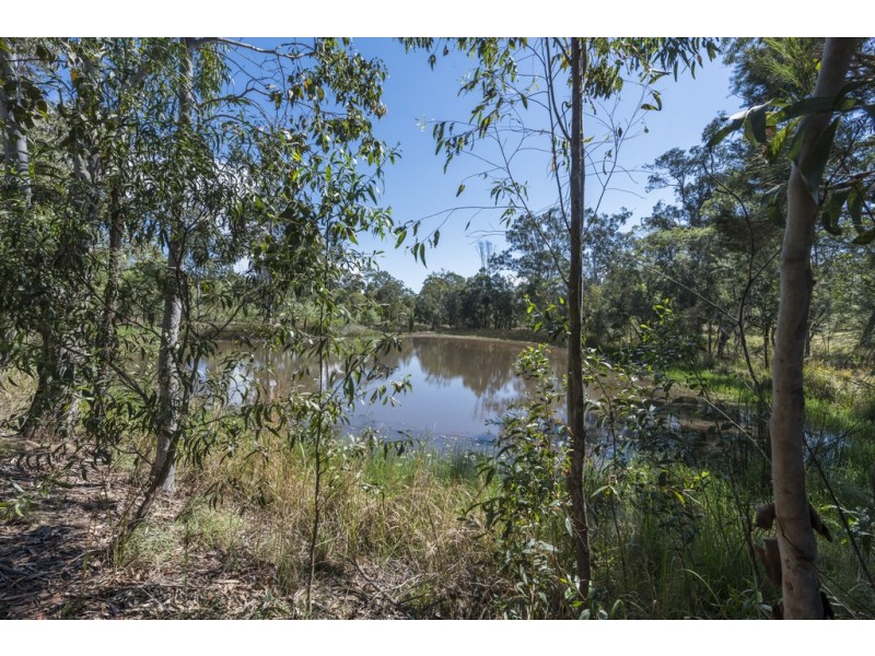 2122 Summerland Way, Warragai Creek NSW 2460