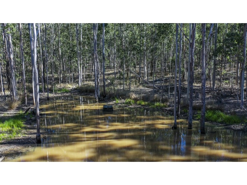 Lot 9 Old Six Mile Lane, Glenugie NSW 2460