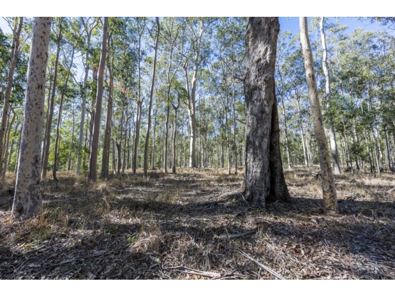 Lot 9 Old Six Mile Lane, Glenugie NSW 2460