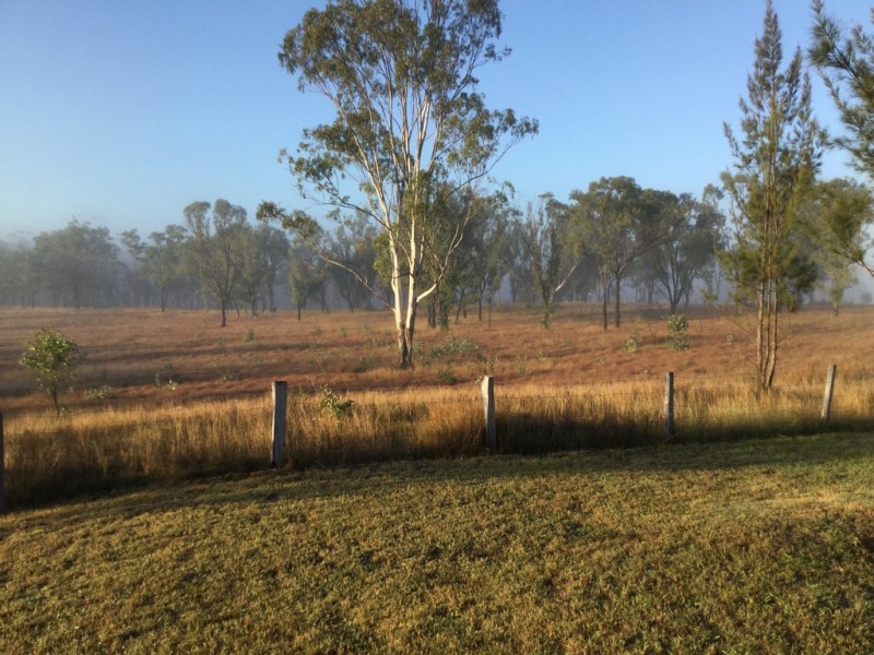 88 Mundine Road, Upper Fine Flower NSW 2460