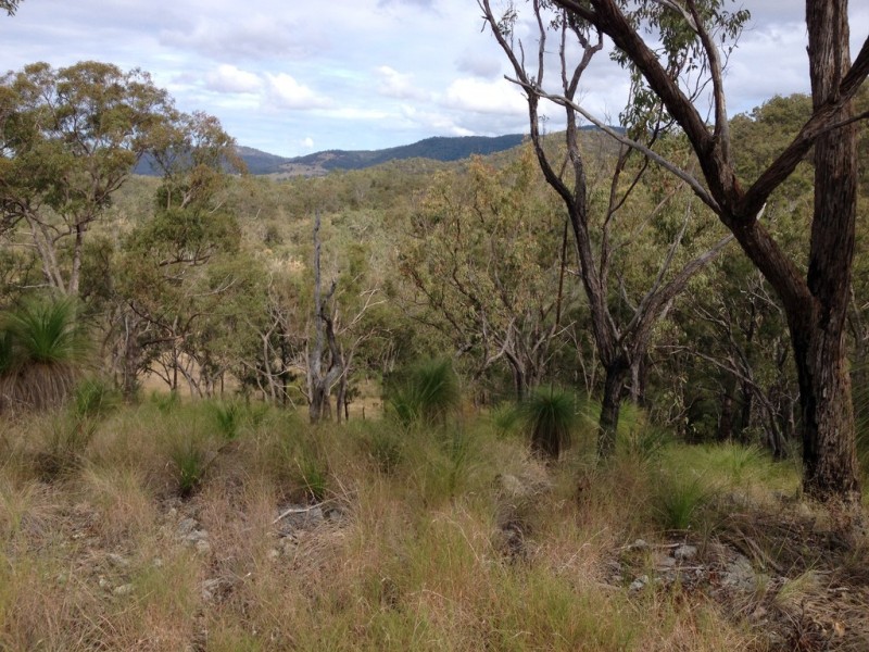 88 Mundine Road, Upper Fine Flower NSW 2460