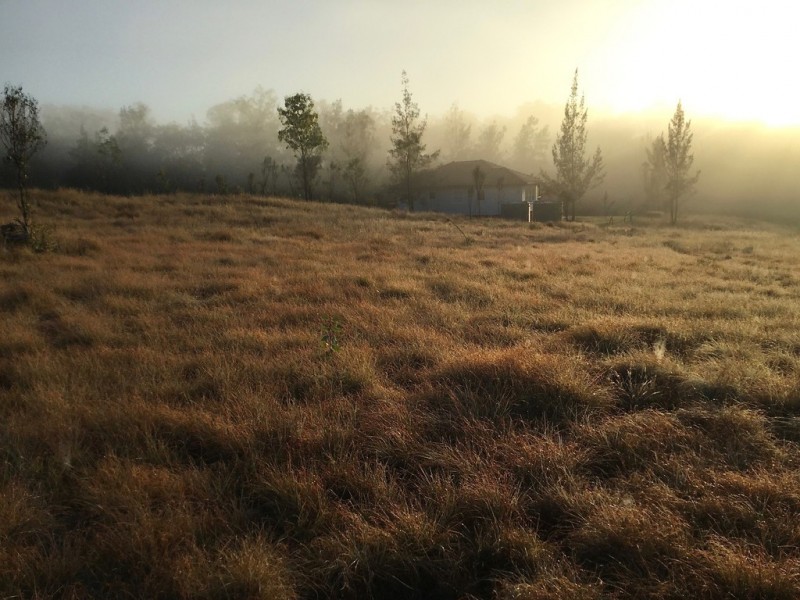 88 Mundine Road, Upper Fine Flower NSW 2460