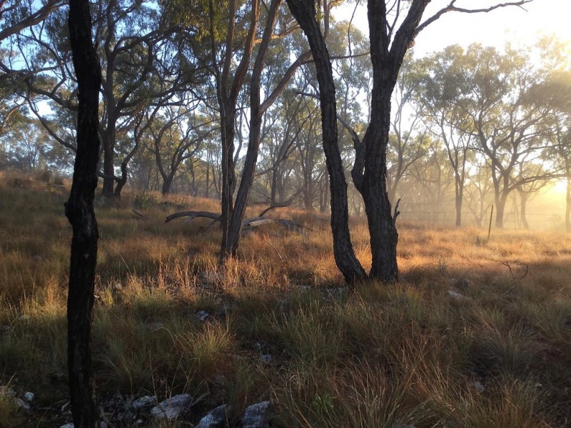 88 Mundine Road, Upper Fine Flower NSW 2460