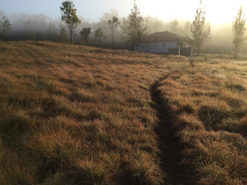 88 Mundine Road, Upper Fine Flower NSW 2460