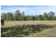 LOT 170 Kangaroo Creek Road, Coutts Crossing NSW 2460