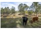 2164 Gwydir Highway, Ramornie NSW 2460