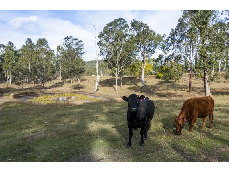 2164 Gwydir Highway, Ramornie NSW 2460