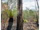 Lot 9 Greberts Road, Whiteman Creek NSW 2460