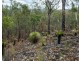 Lot 9 Greberts Road, Whiteman Creek NSW 2460
