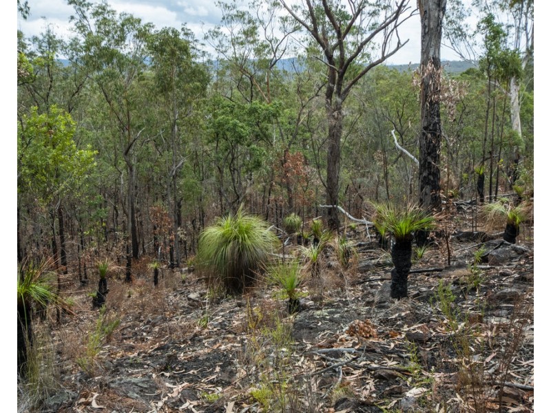 Lot 9 Greberts Road, Whiteman Creek NSW 2460