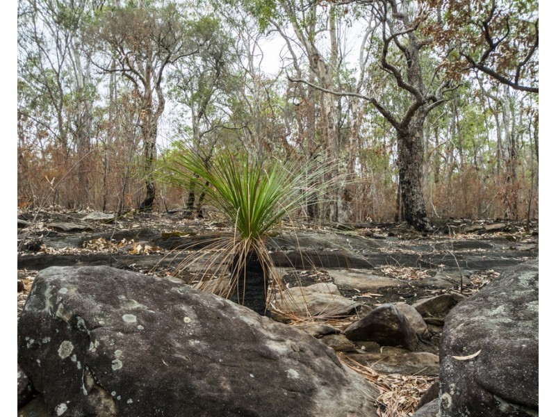 Lot 9 Greberts Road, Whiteman Creek NSW 2460