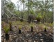 Lot 9 Greberts Road, Whiteman Creek NSW 2460