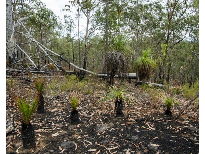 Lot 9 Greberts Road, Whiteman Creek NSW 2460