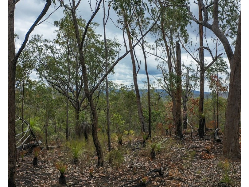 Lot 9 Greberts Road, Whiteman Creek NSW 2460
