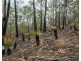 Lot 9 Greberts Road, Whiteman Creek NSW 2460