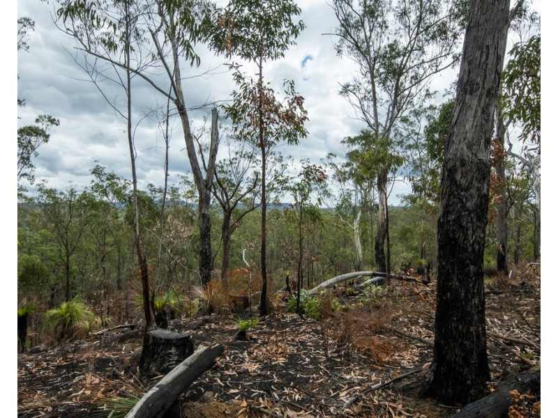 Lot 9 Greberts Road, Whiteman Creek NSW 2460