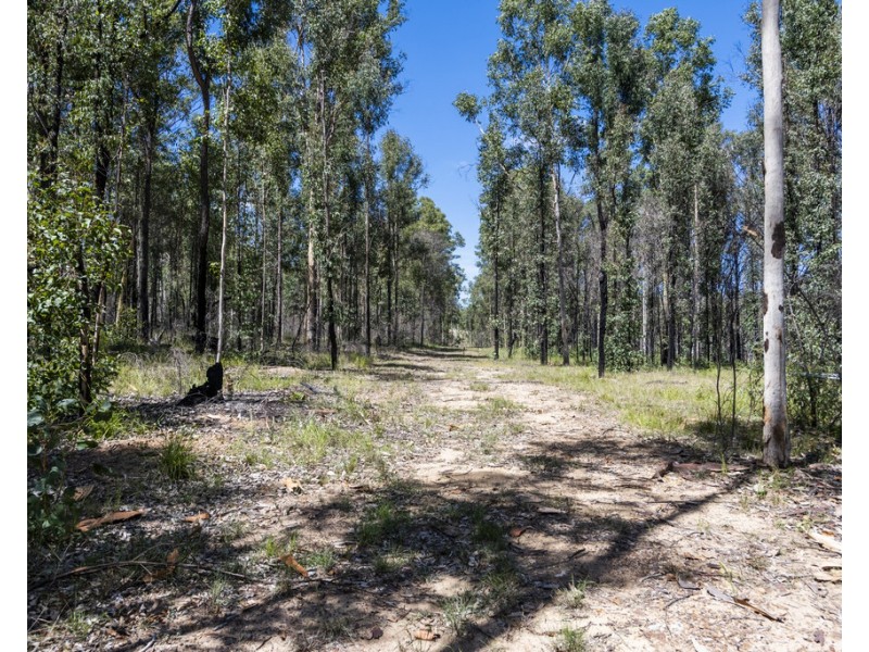 2700 Armidale Road, Blaxlands Creek NSW 2460