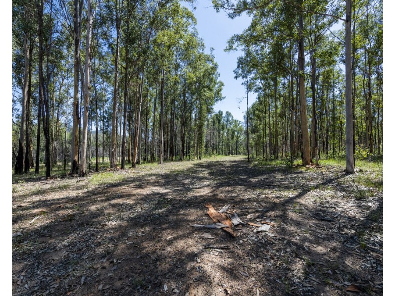 2700 Armidale Road, Blaxlands Creek NSW 2460